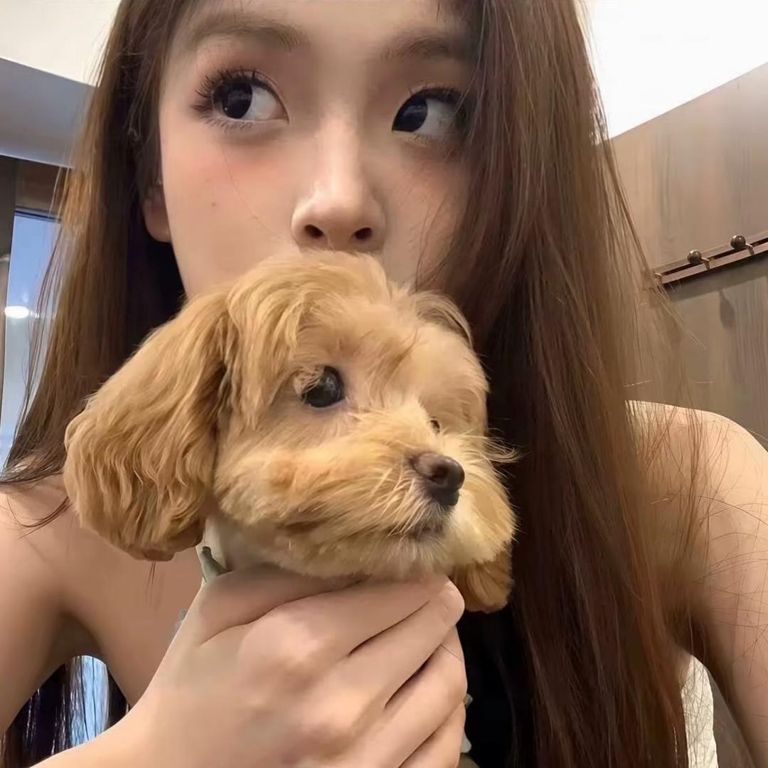 你的婉