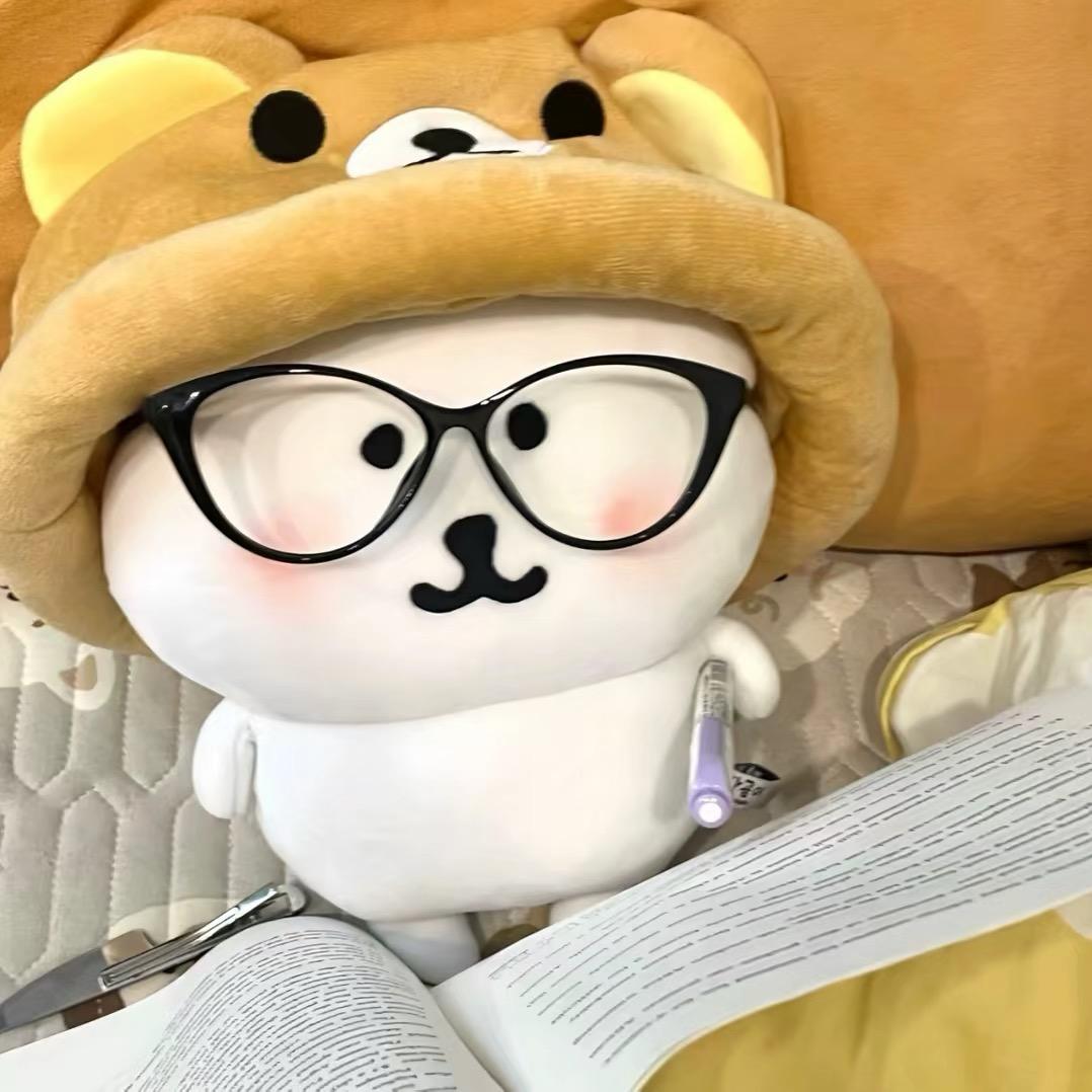Aaa小猪大王