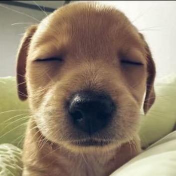 我不爱吃早饭 .