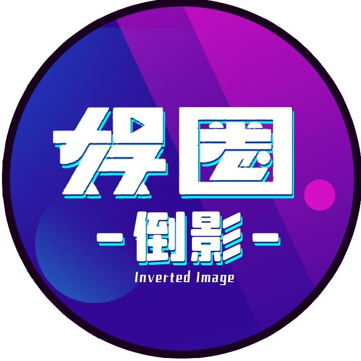 娱圈倒影