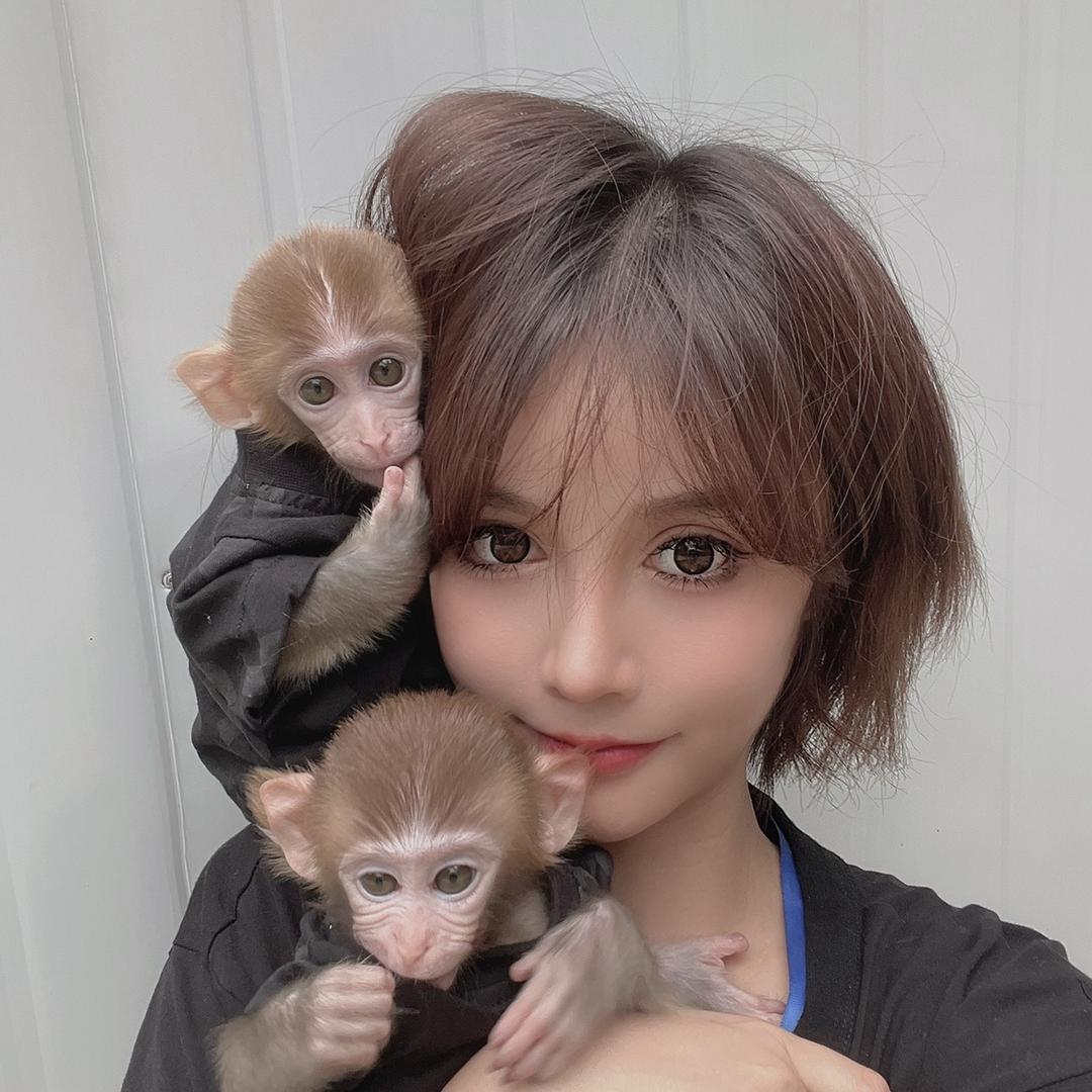 可爱可心