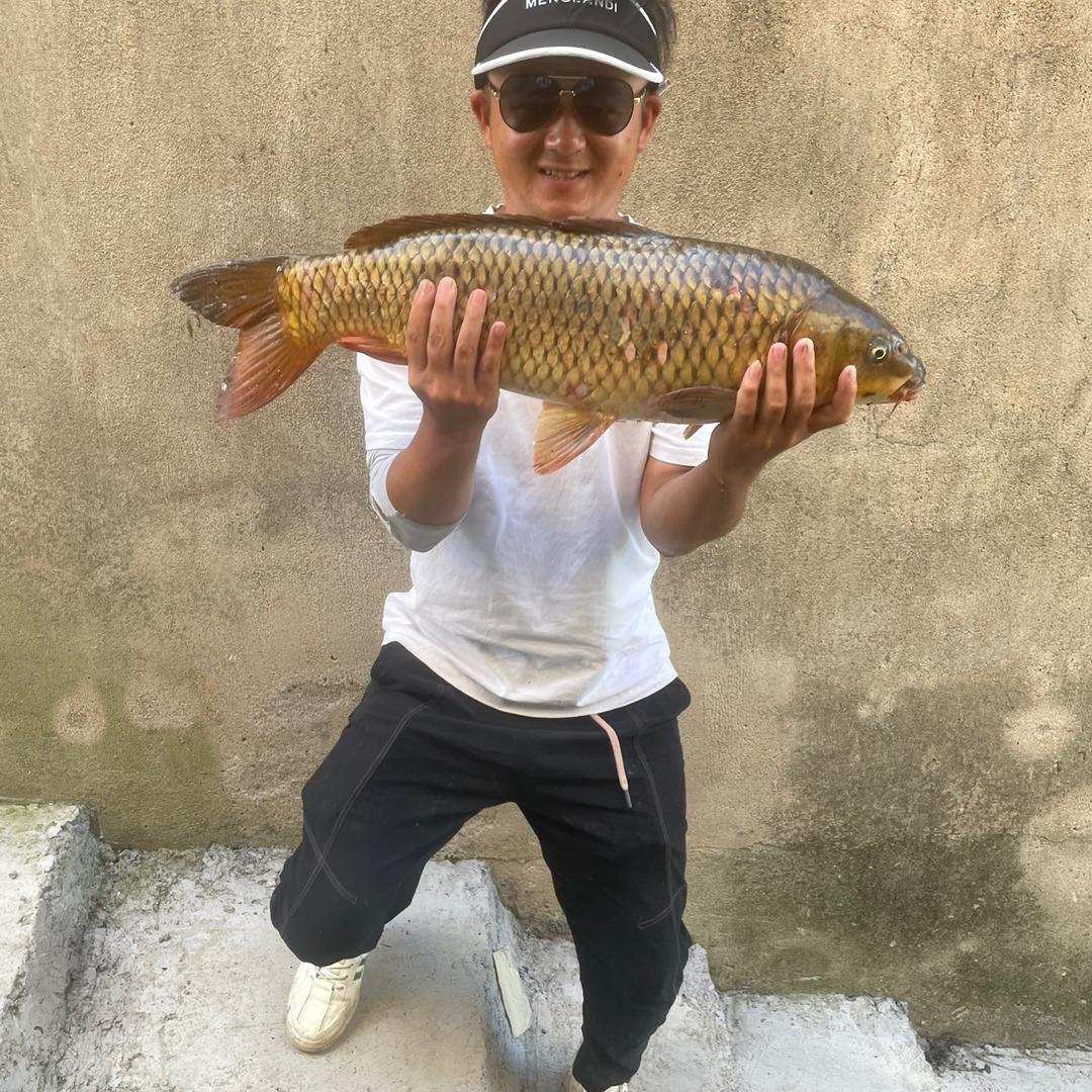 小鲍子钓鱼直播