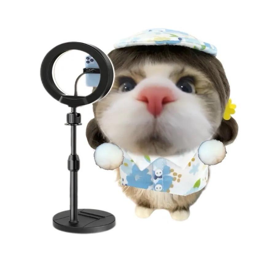 小铃铛🔔