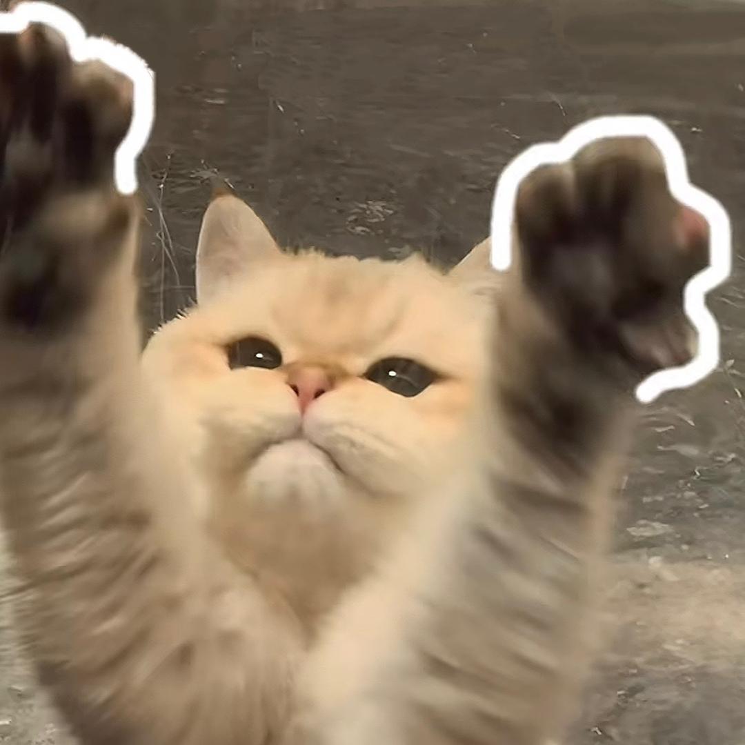 到底有木有（推文版）