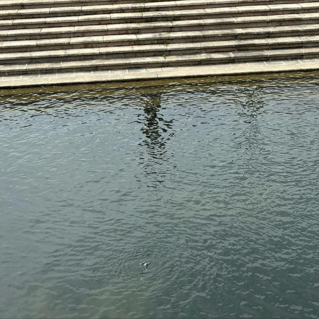 道法文化