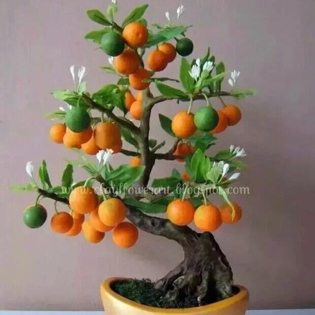 天天💗❤️开心💕