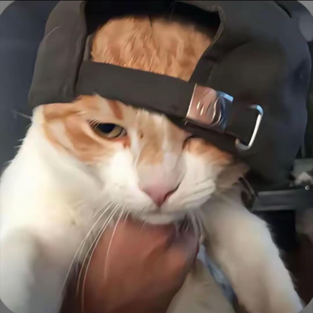 ᝰꫀꪶꪖρડ꧖ꦿ🐋