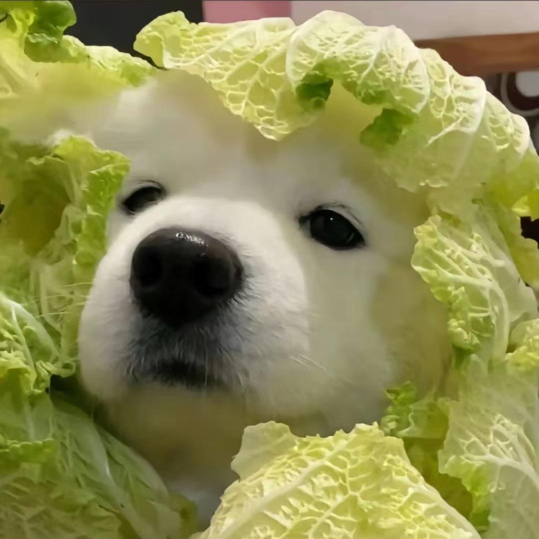 記憶.