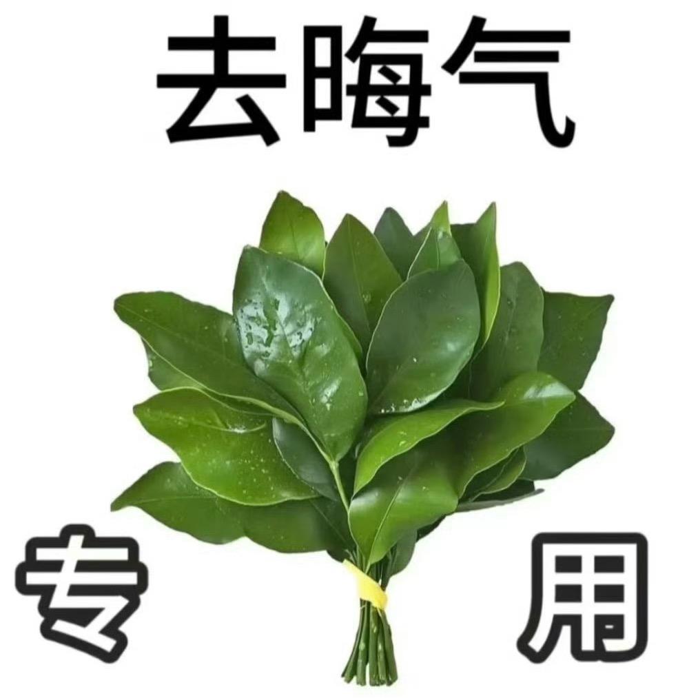 悍匪史努比