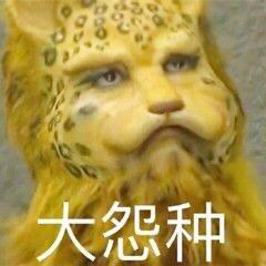 电池家族老大