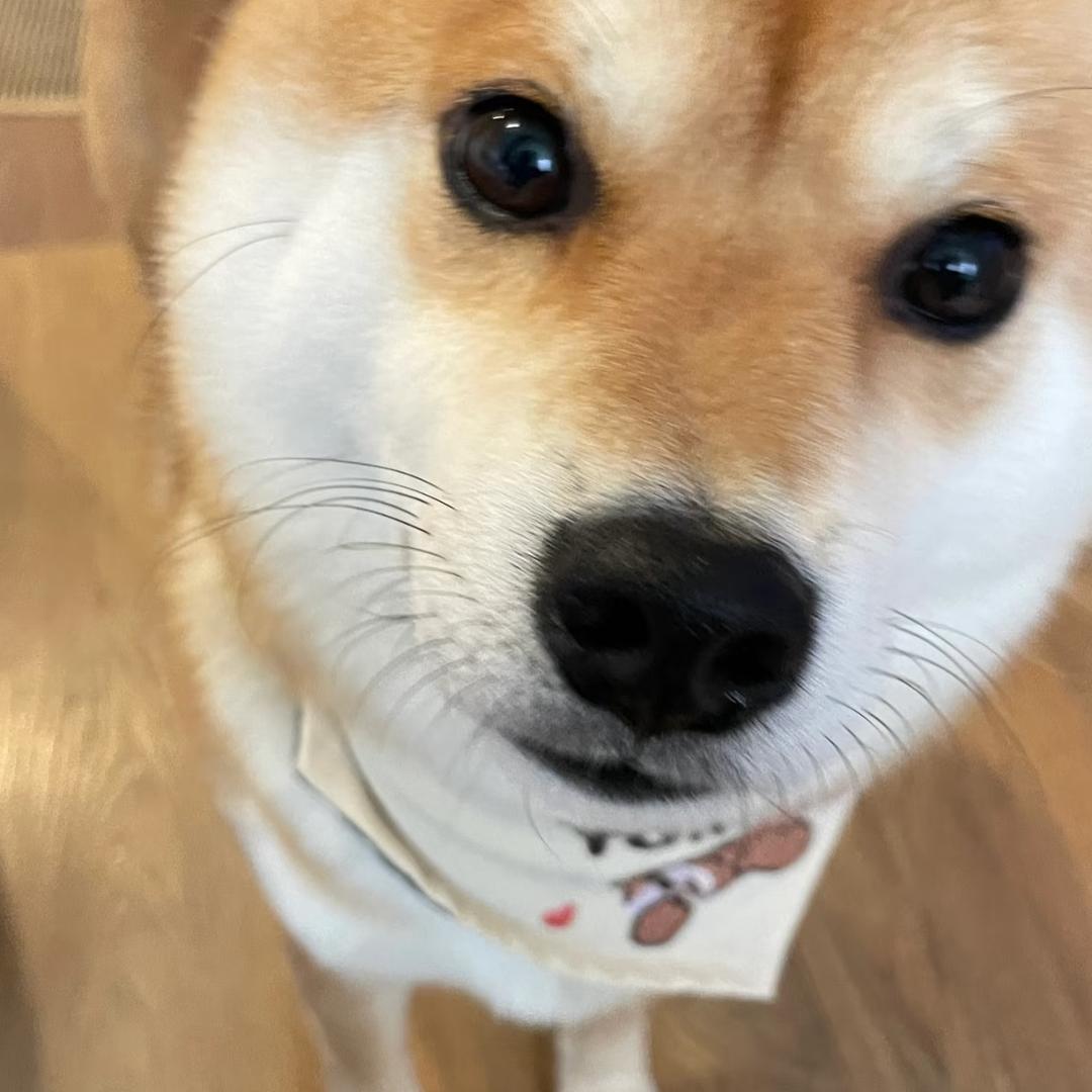 奕盛百货