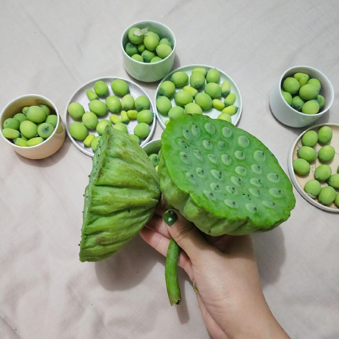 雨后春笋势如破竹