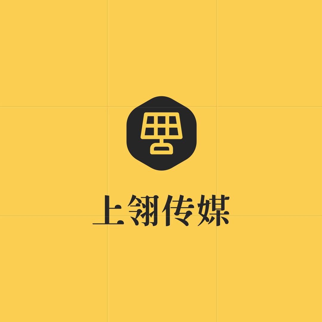 保定上翎传媒(实体店运营陪跑)