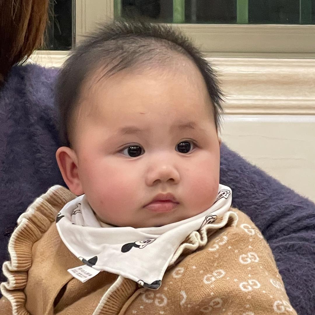 虫虫麻麻