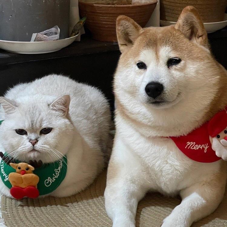 悠悠好物💕💕