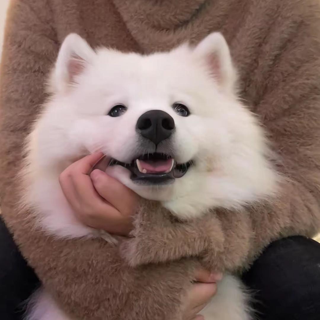 蓝色钴玻璃