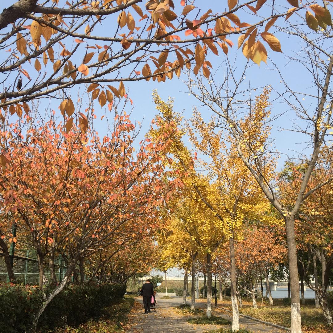 邑路辉腾商贸