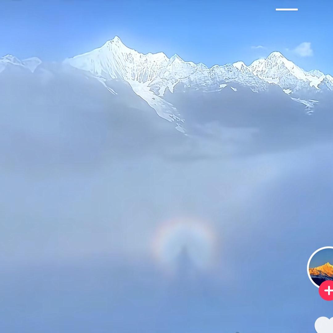狂奔水牛