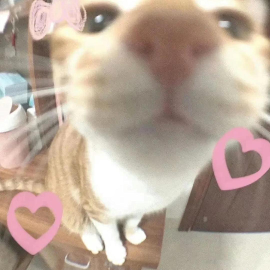 小椰
