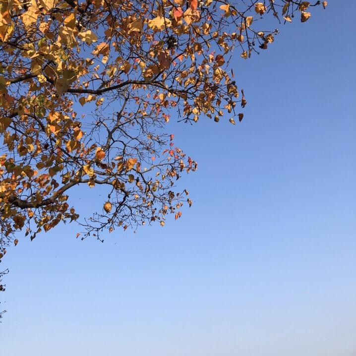 云淡风轻