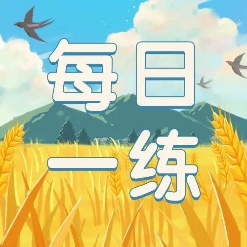 每日一练