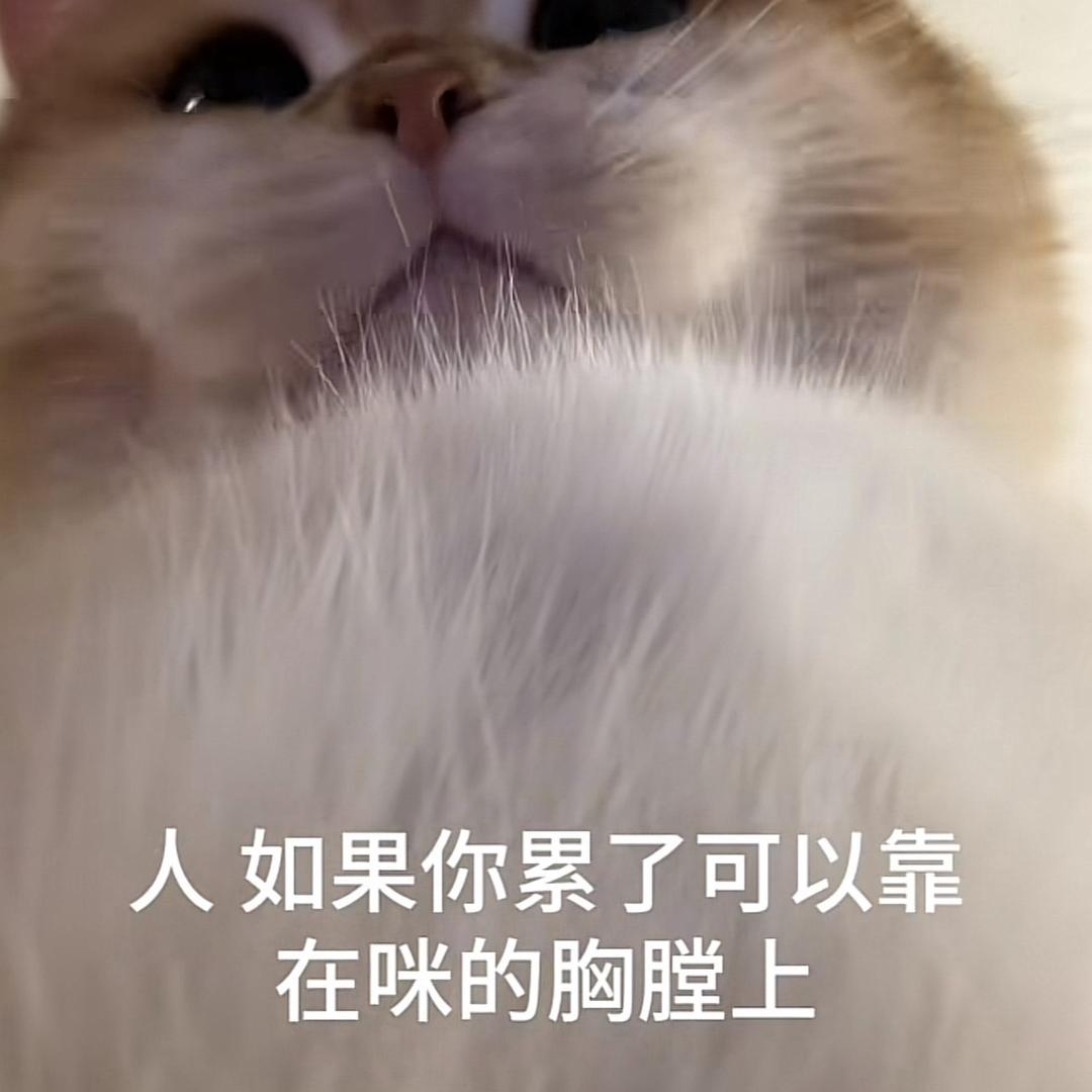 爱吃干脆面.