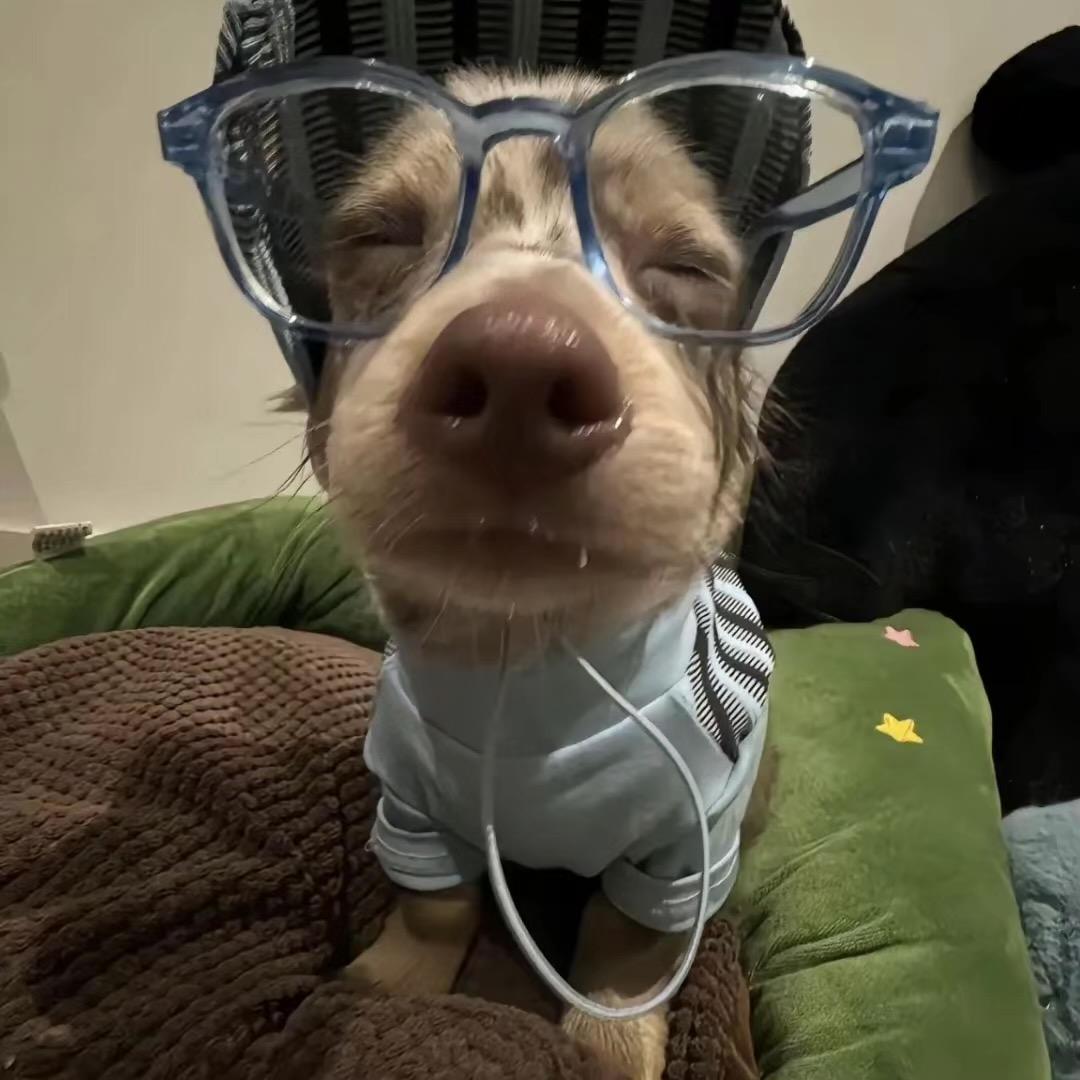 小黑吖