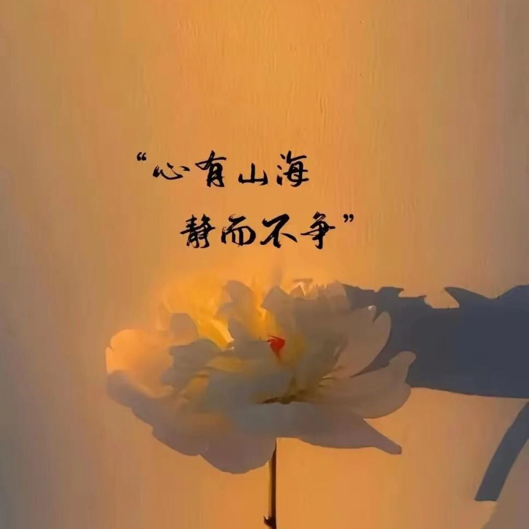 ღ³.一碗姜丸子🍂