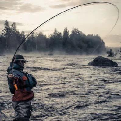 🌈饵儿在飞☀️