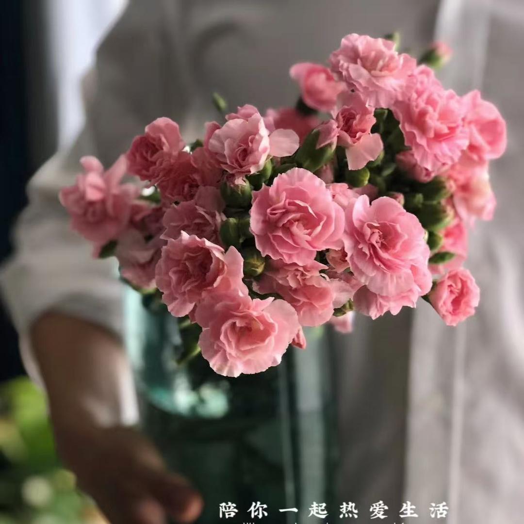 糖蜜优选铺