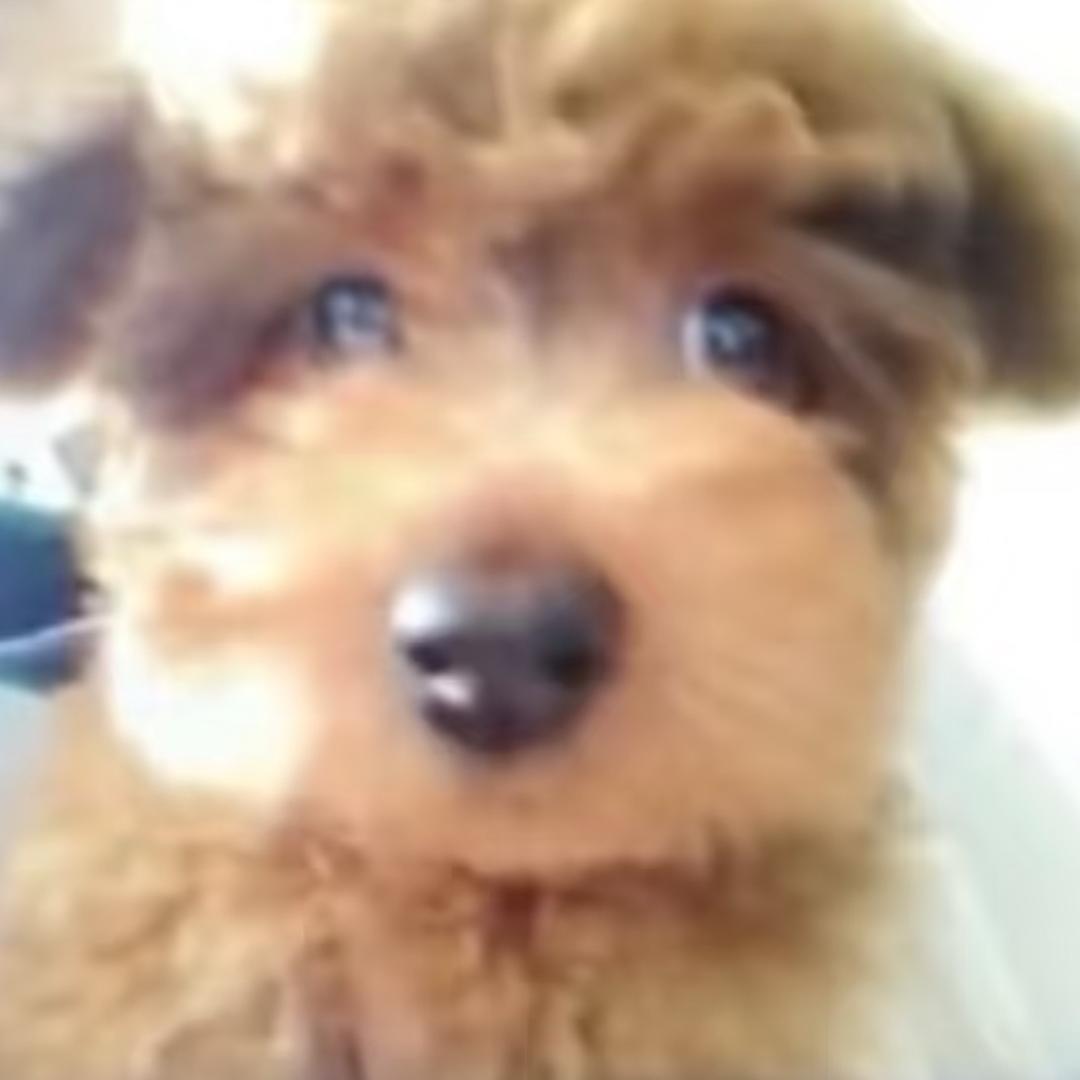 来点薯条吃吃吧