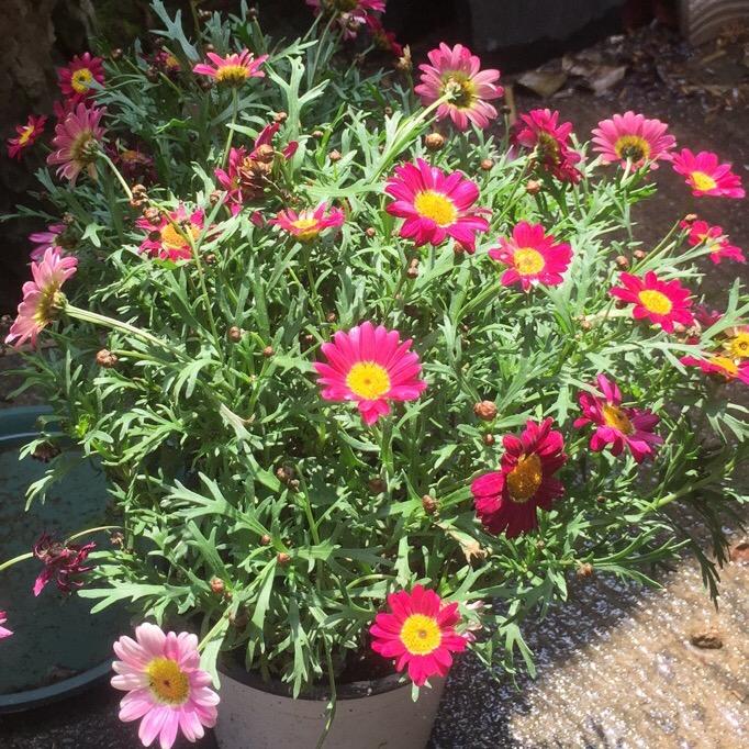 梅姐姐精品服饰