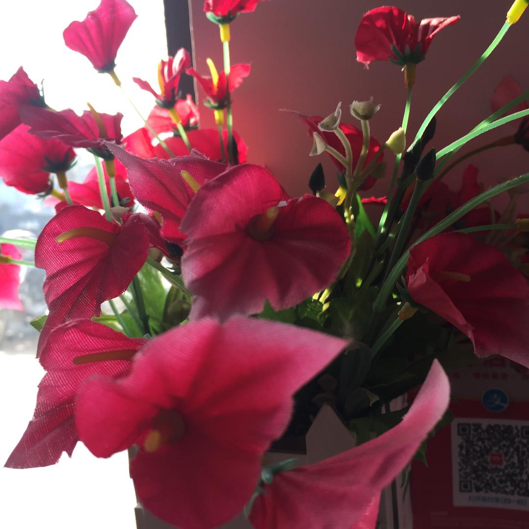 花🌸仙子