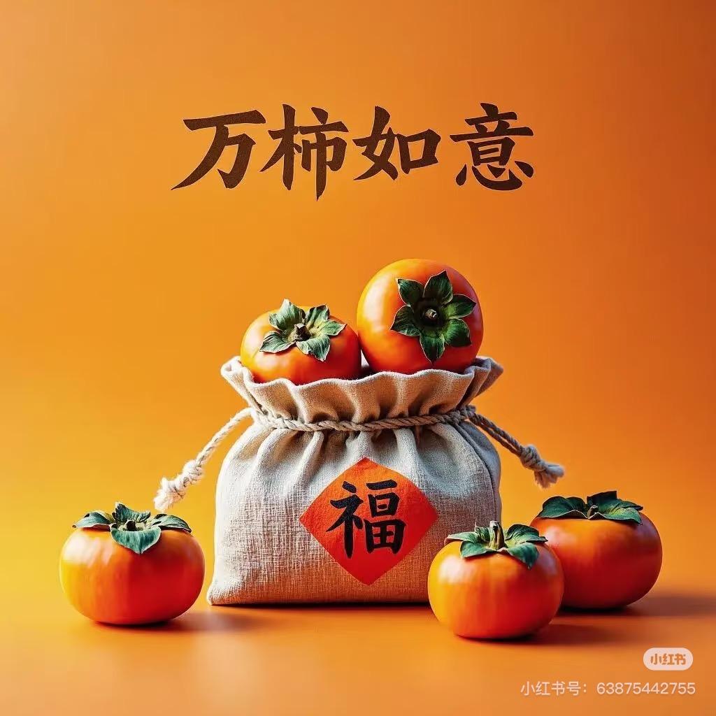 财旺小乔乔