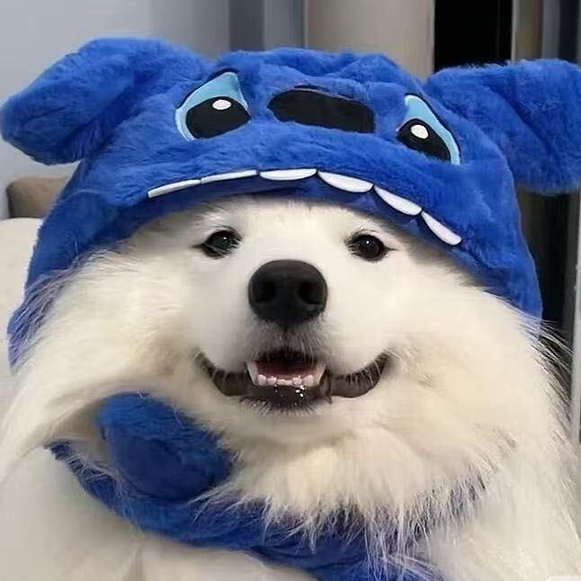 我曾是她的唯一