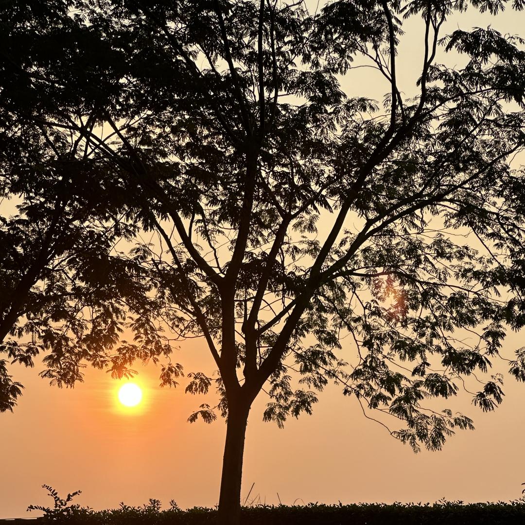 古儿美妆个护店