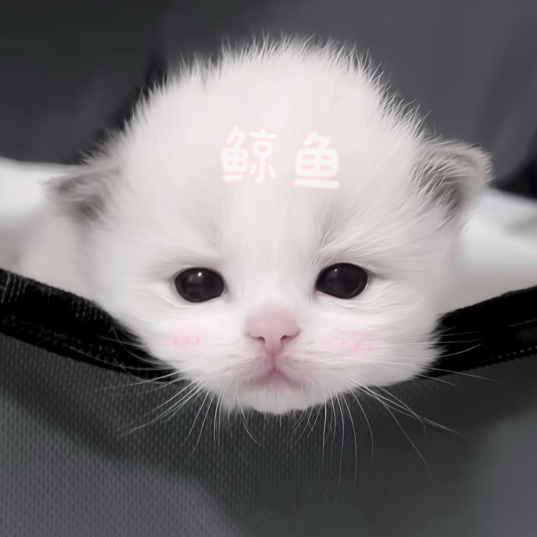 Agony
