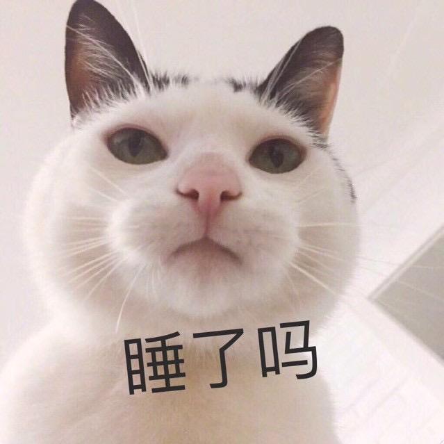 鱼檬檬