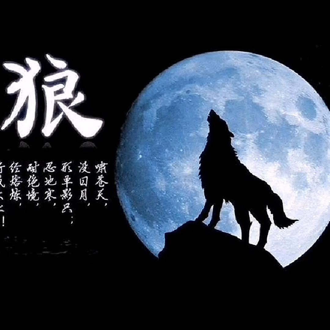 黑狼