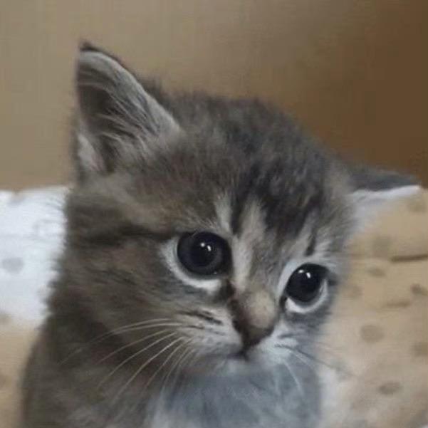 方亭.