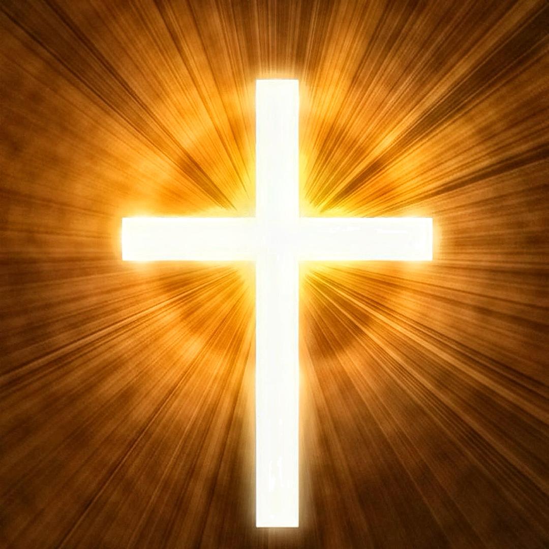 请叫我女王👑殿下😎👙💋