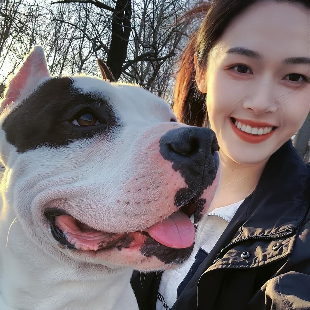 羊羊七•🐑