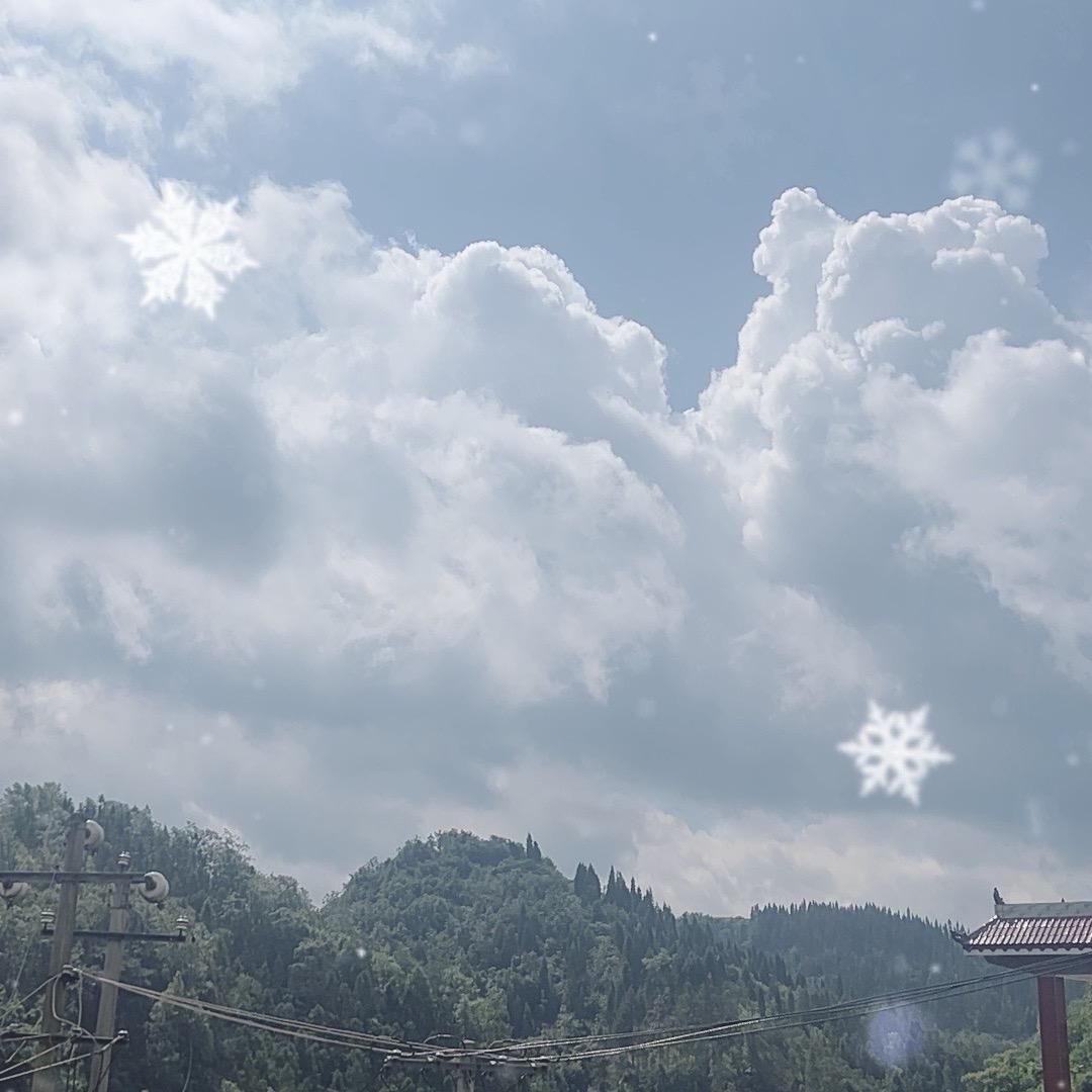 齐齐妈妈