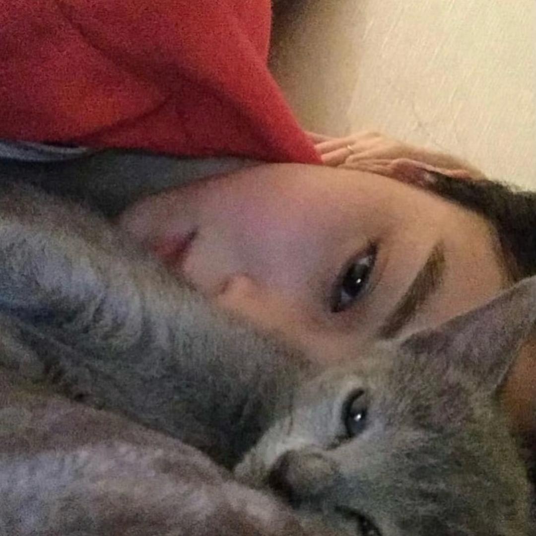 小盒儿