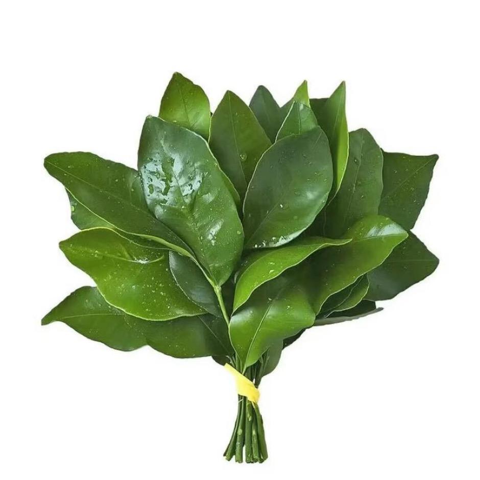 小媛