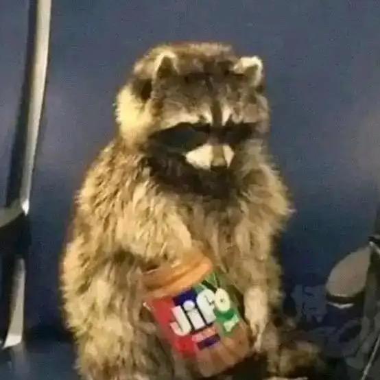 吃花生酱的小浣熊