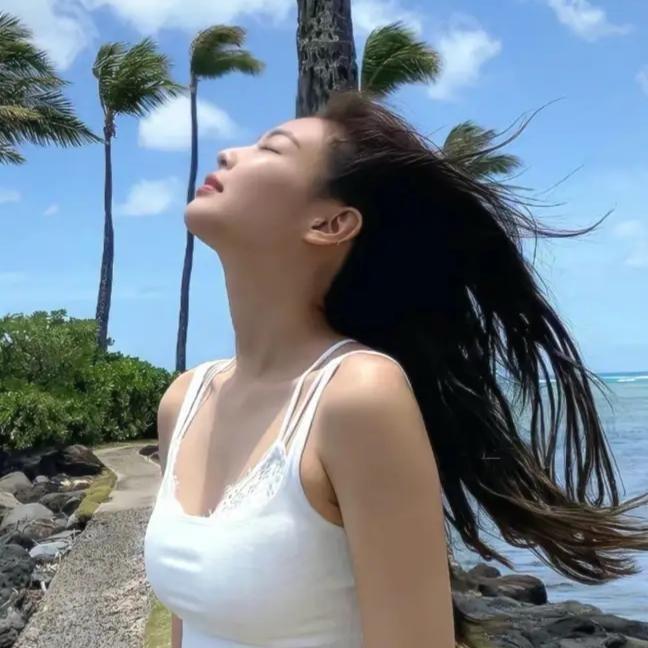 北极砂