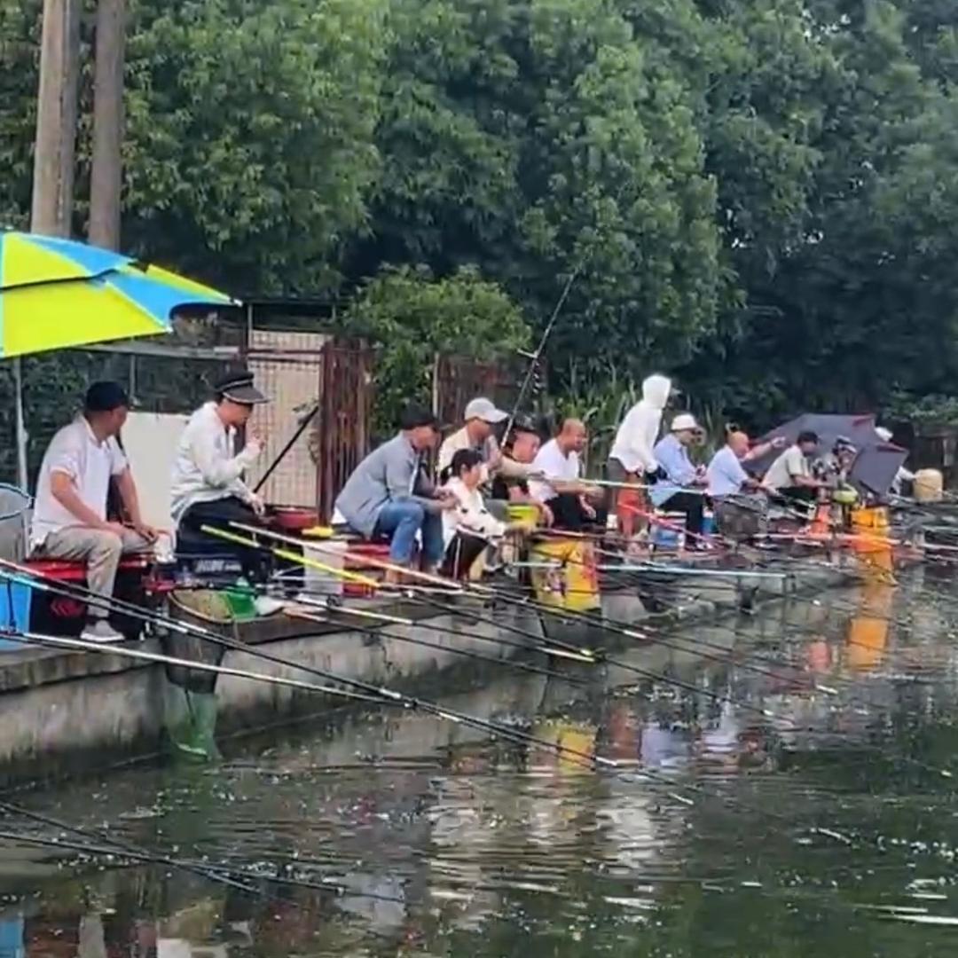 光头老刘