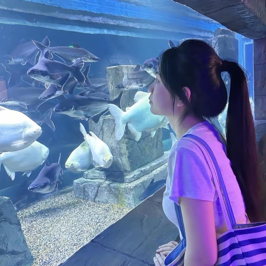 你的白月光