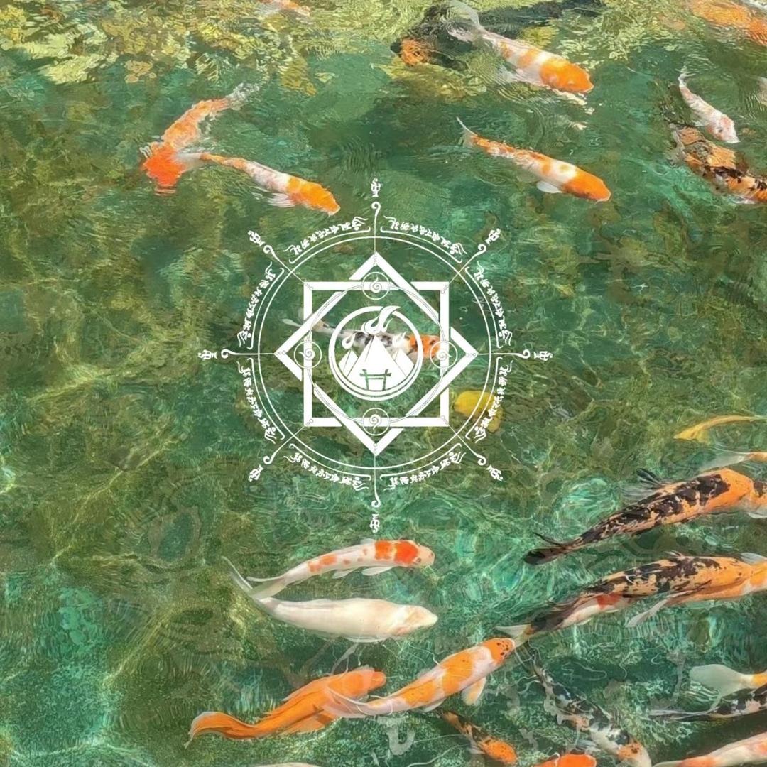 小诠诠头像